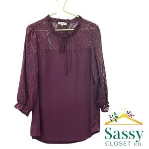 Joie de Vivre Purple Top – Sheer Sleeves, Crew Neck, Plus 2X – EUC
